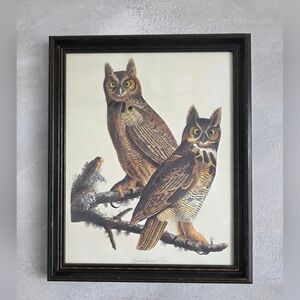 Great Horned Owl & Passenger Pigeon Framed Wall Art 11.5 X 9.5